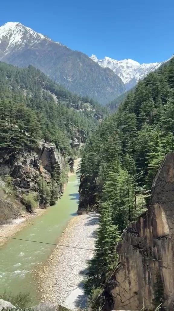 A river gorge with dense forest on both sides and a snow-capped peak beyond.